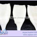 IQF Cleaned Squid Tubes U5,U7,U10-seafood thumbnail-3