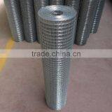 Galvanized Welded Wire Mesh From China Factory