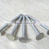 Galvanized Clout Nails With Flat Head/ ROOFING CLOUT NAILS /FALT CLOUT NAILS thumbnail-6