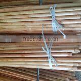 Hot selling eucalyptus natural wood rake handles with CE certificate