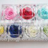 Hot Sale Long Lasting Preserved Flower Ring Box For Valentine's Day Gift thumbnail-4