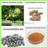 Acanthopanax Root / Elentheroside / Siberian Ginseng / ci wu Jia / HPLC 0.8%,1.0%,1.5% thumbnail-1