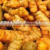 Turmeric Oil thumbnail-2