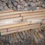 White Malacca, Mantang, Malacca, White Cane, Rattan, Cane, Rattan Cane, Rattan Pole, Pole, Cane Pole thumbnail-3