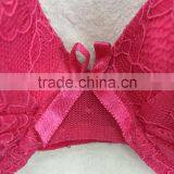 Women Elegant Lace Transparent Panty Sexy Ladies Bra Panty Set thumbnail-3