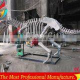 Full Size High Realistic Museum Quality Dinosaur Skeleton thumbnail-1