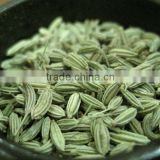 Best Fennel Seed