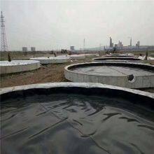 Geomembrane Price 2mm Hdpe Plastic Pond Liner Fish Tank Waterproof Liner Waterproof Membrane thumbnail-5