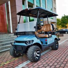 2024 Luxury Electric Golf Cart 4-seater