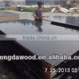 Romania Market Film Faced Plywood thumbnail-4