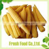 China Food Canned thumbnail-2