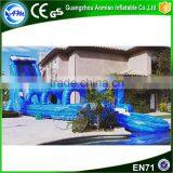2016 New Point China Cheap Big Wet Inflatable Slide With Pool for Children and Adult Quality Choice thumbnail-2