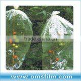 Tomato Protection Plastic Tube Bag