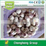 Normal White Garlic 3cm With Lowest Price thumbnail-1