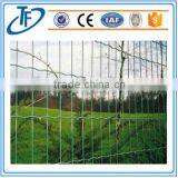Holland Electric Welded Wire Mesh/best Quality/hot Sales thumbnail-3