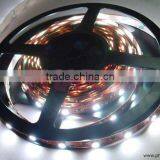 High Intensity Led