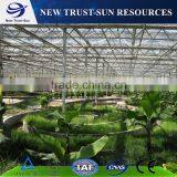 Best Selling PC Sheet/board Agricultural Greenhouse for Sale thumbnail-2