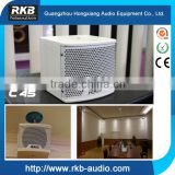 C-45 Ultra-compact and Multi-function Professional Speaker For Conference Room