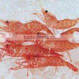 Micro Machines Ice Plate Machine for Ice Production Line Made by China Suppliers