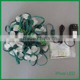 22 mm Point Pixel Christmas Led Ws2811