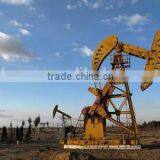 API DOUBLE HORSE HEAD PUMPING thumbnail-2