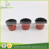 Wholesale Terracotta Plastic Plant Pots thumbnail-5
