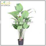 Large Wholesale Artificial Paradise Flowers Decorative Plastic Trees