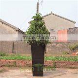 Glazed Black Inclined Decorative Poly Fiber Flower Pot thumbnail-1