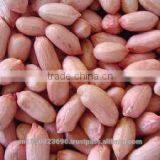 NEW CROP VIETNAM PEANUT / Vilaconic.export15@gmail.com thumbnail-1