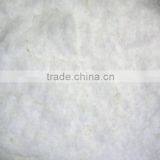 Fresh and New Indian Desiccated Powder thumbnail-1