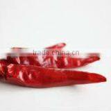 RED CHILI FROM GUJARAT thumbnail-1