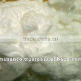 100% Cotton Bleached Comber Noil