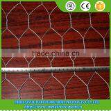 1/4 Inch Lowest Price Chicken Wire Mesh thumbnail-3