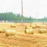 Agricultural Straw Baling Press thumbnail-4