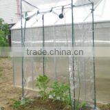 Garden Green House for Tomatoo Planting thumbnail-1