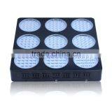 Aaa Quality High Power Tamato Seeds From Shenzhen Factory thumbnail-3