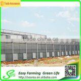 Hot Sale Commerical Glass Greenhouse Shade Green House Design thumbnail-3