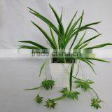 Artificial White Edge Spider Plant Hanging Spider Plant thumbnail-2