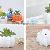 Wholesale High Quality Low Price Customer Design Gardening Pot/plant Pot/flower Pot/garden Pot thumbnail-3