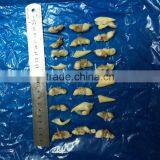 Frozen Suff Clam Meat thumbnail-4