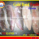 FROZEN GOLD BAND FUSILIER FILLET thumbnail-1