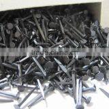 Black Color Shoes Nail Tack From Guangzhou Supplier thumbnail-3