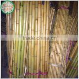 Large Dry Raw Moso Bamboo Poles for Sale 20mm-40mm