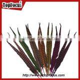50-55 CM Natural Bulk Ringneck Tail Pheasant Feathers for Wedding Decoration thumbnail-2