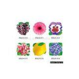 Sell PP Modeling Placemat thumbnail-1