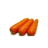 natural carotenes