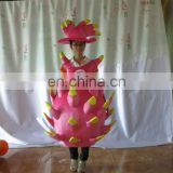 2012 dragon fruit custom mascot costume