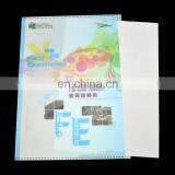 Fashion Plastic Custom Document Folder a4
