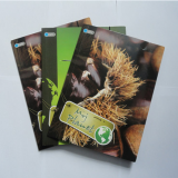 Paper File Holder thumbnail-4