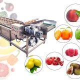 Upgrade Of Cleaning And Preservation Equipment To Ensure The Quality Of Fresh Fruits And Vegetables